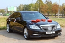 Надпись "Love" из красных роз