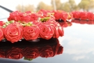 Надпись "Love" из красных роз