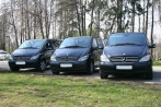 Mercedes Viano