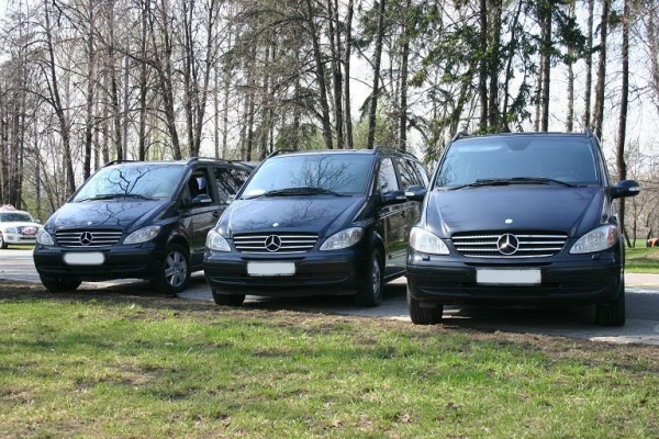 Mercedes Viano