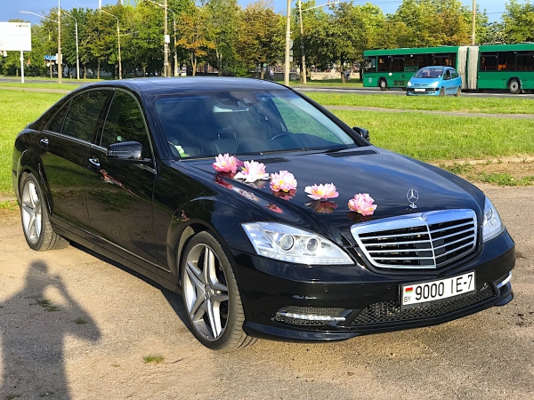 Розовые кувшинки